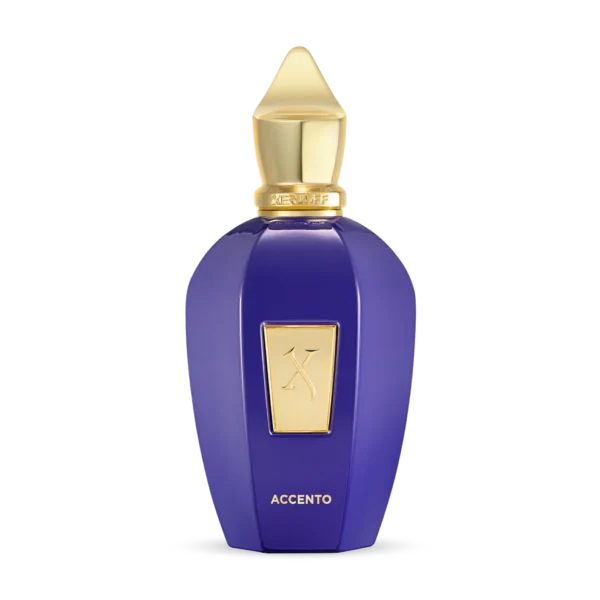 Xerjoff V Accento EDP 100 ml