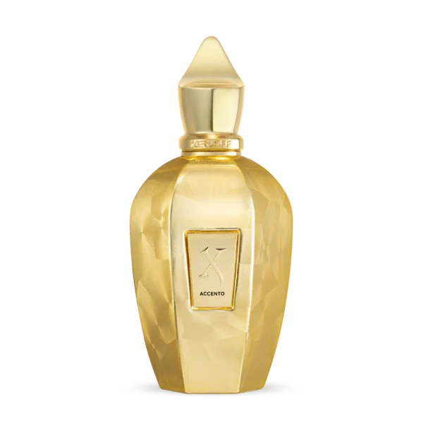 Xerjoff V Accento Overdose EDP 100 ml