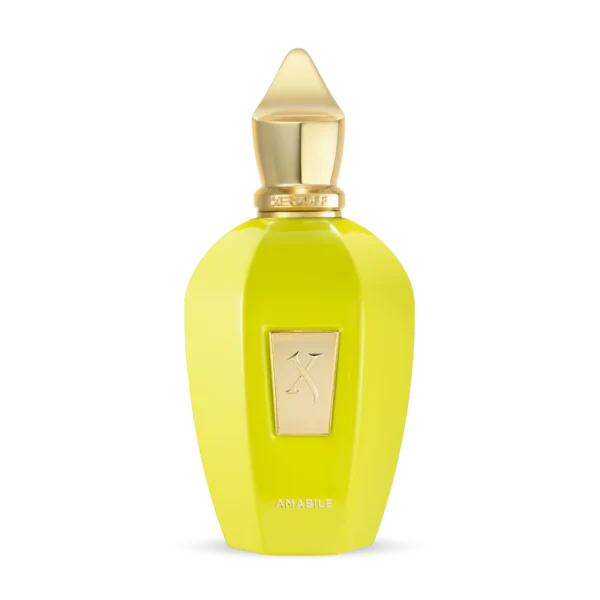 Xerjoff V AMABILE 100 ml EDP