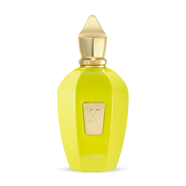 Xerjoff V AMABILE EDP 100 ML.